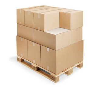 Caja Especial paletizable Canal Simple
