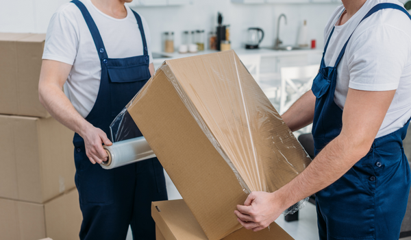 Cabecera Lets Pack (14)