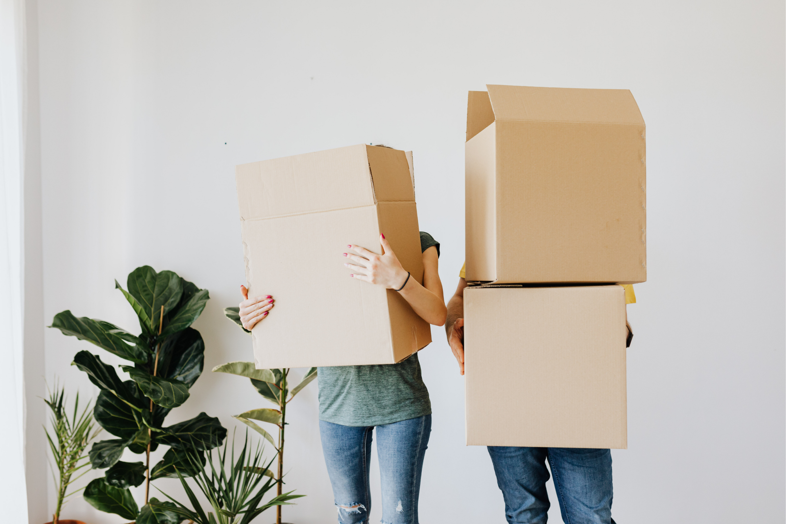 Cabeceras blog  Lets Pack (73)