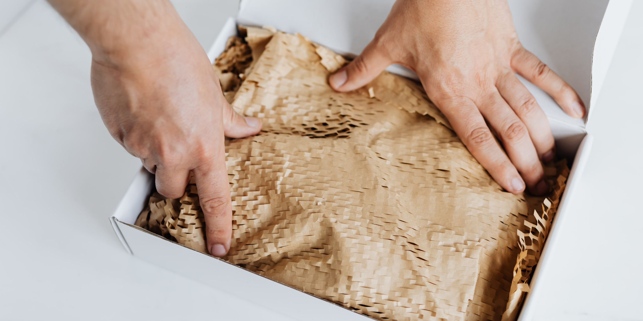 LP GreenFriday  Lets Pack (12)