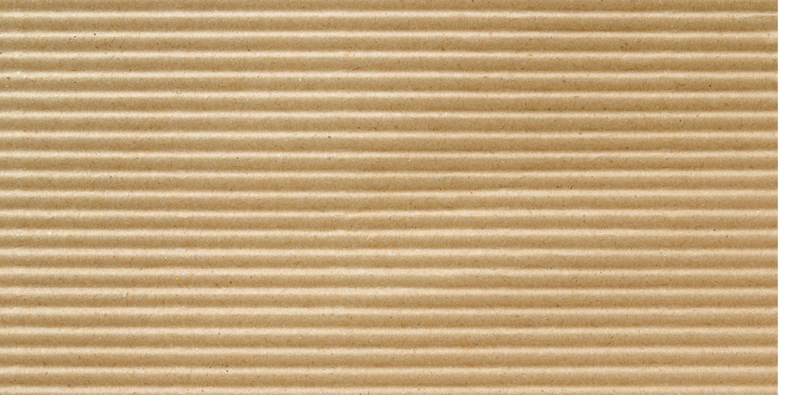 LP GreenFriday  Lets Pack (3)