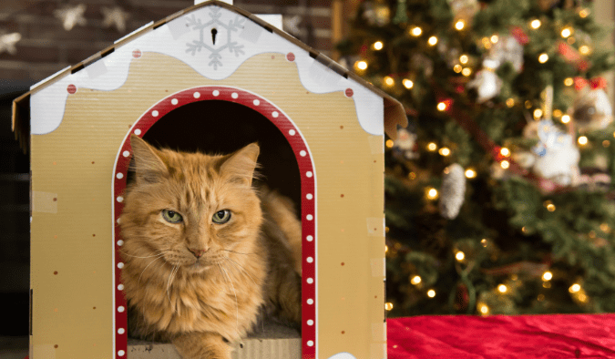 reutilizar el cartón