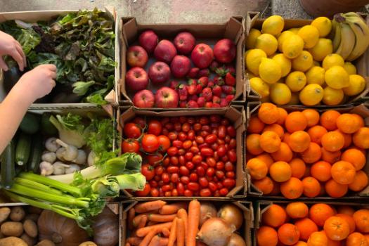 cajas recicladas para comida